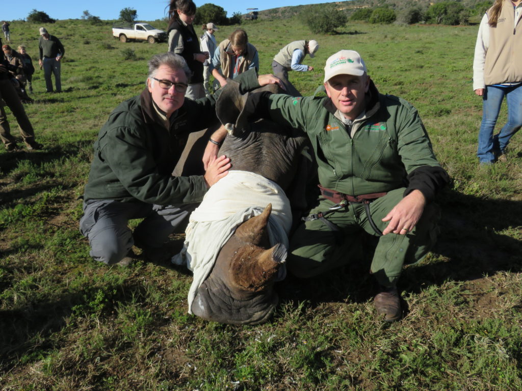 Dr. Michael Slattery and Dr. William Fowlds pose next to a white rhino
